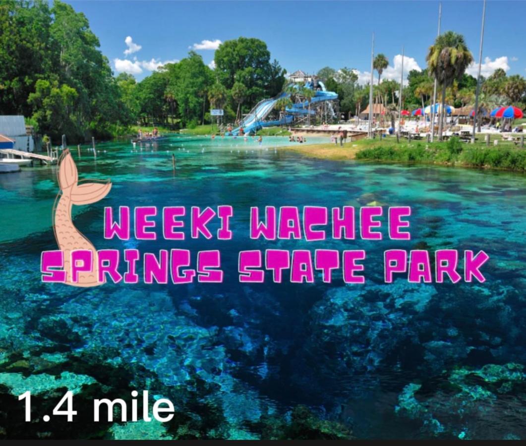 Bonne Nuit Weeki Wachee Villa Exterior foto